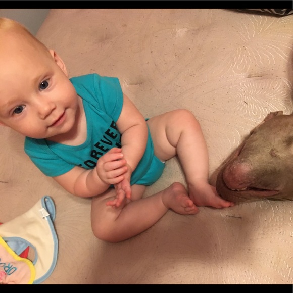 Meet your Posher, Lila - Picture 7 of 8